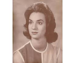 Pat Taylor Obituary (2024)