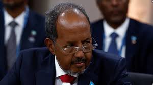 Somalia Approves Defense Agreement With Turkey