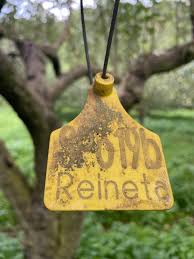 Serps Sidra — Super Glou