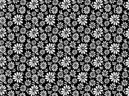 White petaled flower, black and white flower petal pattern, black and white lines flowers background, template, white, floral png. Black And White Floral Black And White Black And White Flowers Floral Wallpaper