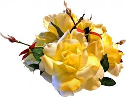 Maybe you would like to learn more about one of these? Yellow Rose Flowers Images Free Stock Photos Download 13 777 Free Stock Photos For Commercial Use Format Hd High Resolution Jpg Images