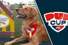 The westminster dog show is the major dog competition in history. Westminster Kennel Club Fox Sports Presspass