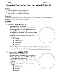 We did not find results for: Compare And Contrast Plants And Animals Worksheets Teaching Resources Tpt