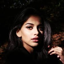 🌲 The Forest Dwellers 🌲