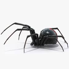 Pin On 3d Animals