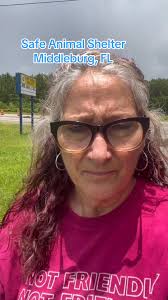 Come see us! New hours 11-6 every day! https://linktr.ee/safeanimalshelter 