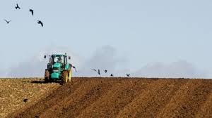 Maybe you would like to learn more about one of these? Fonduri Europene Pentru AgriculturÄƒ Site Cu Toate InformaÈ›iile De Care AveÈ›i Nevoie