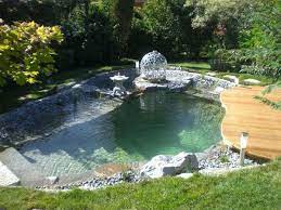2019 Trends Home Decor According To Pinterest The Interiors Addict Ponds Backyard Natural Swimming Ponds Natural Pool