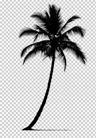 Arecaceae Silhouette Tree Png Arecaceae Arecales Black Black And White Borassus Flabellifer Palm Tree Drawing Palm Tree Png Palm Tree Clip Art