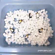How To Make Pretend Snow In The Sensory Table For Preschool Prekinders Sensory Table Snow Sensory Table Sensory Activities Toddlers