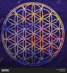 The flower of life symbol is considered to be sacred among many cultures around the world, it is considered by some to be an 'akashic record'. Flower Life Sacred Image Photo Free Trial Bigstock