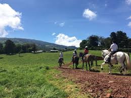 Emprendedores de Vara Blanca tratan de salir adelante contra lluvias,  vientos y erupciones