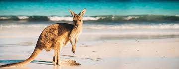 4,152 likes · 1,218 talking about this. Australian Kangaroo Preiswerter Einstieg In Das Silber Investment Degussa Goldhandel