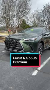 Image result for Nori Green 2024 LC