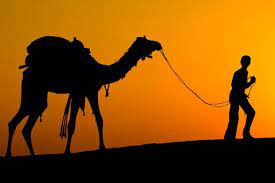 This experimental aircraft provides him with a unique physical perspective over remote places that are inaccessible by. Camel Trekking The Sahara In Morroco With National Geographic Liveoutdoors