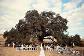 Highland Springs Resort Wedding Ceremony Reception Venue California Backyard Wedding Ceremony Highland Springs Resort Wedding