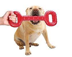 Maybe you would like to learn more about one of these? 10 Best Big Dog Toys Strong Stimulating And Affordable