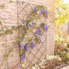 To keep wisteria under control, prune vigorously. Round Top Trellis Panels Harrod Horticultural