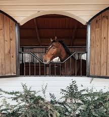 Finally, a prefab horse barn built especially for smaller equines. My Babe Horse Barns Beautiful Horses Equestrian