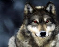 Resultado De Imagem Para Lobo Alfa Beta Omega Imagem De Lobo Fotos De Lobos Lobos Negros