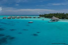 Bilder finden, die zum begriff papeete passen. Die Inseln Von Tahiti Unberuhrt Und Unentdeckt Travelhouse Reiseblog