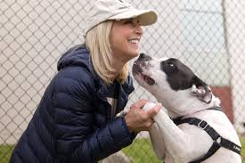 Maybe you would like to learn more about one of these? Free Pet Adoption Event Aims To Empty The Shelters Across The Valley