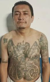 El miércoles 18 de mayo, fueron capturados 496 terroristas en todo el país.  Desde que inició la #GuerraContraPandillas hemos sacado de las calles a  32,002 pandilleros.