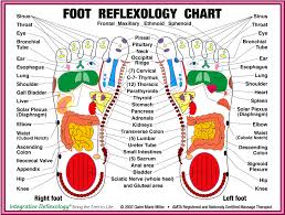 Eleven Hours From Home Happy Feet Foot Reflexology