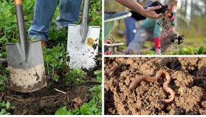 Vielen dank für die flinke antwort dort. Bodenarten Bodenverbesserung Regenwurmer