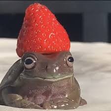 Strawberry Frog Cute Frogs Cute Little Animals Frog Pictures