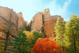 Boondocking spot off forest road 557 in the carson national forest. The Best Campgrounds In The Southwest Sunset Sunset Magazine