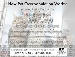 How Pet Overpopulation Works Calgary Humane Society