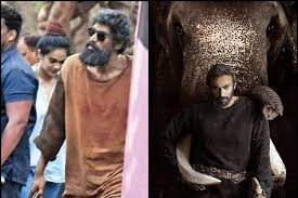 Haathi mere saathi bollywood movie: Pictures Of Rana S Unkempt Look From Haathi Mere Saathi Leaked Online The News Minute