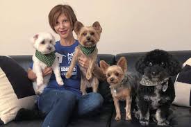 Our shelter features medical examination and grooming areas where newly minted rescue pets are examined and. Real Estate Offices Sponsor 3 Area Pet Adoption Events Triblive Com