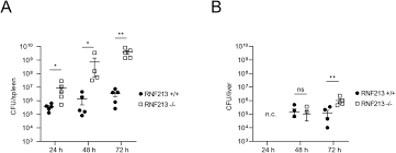 Semua factor yang memiliki adalah 2 3. Ring Finger Protein 213 Assembles Into A Sensor For Isgylated Proteins With Antimicrobial Activity Biorxiv