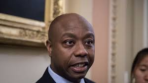 Tim Scott: Trump has "obviously reflected"