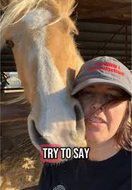 I just had to FaceTime you guys today. #horse #horsesoftiktok #pretty  #palomino #cardi #farm #horsegirl#fyp #tiktok