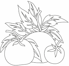 These alphabet coloring sheets will help little ones identify uppercase and lowercase versions of each letter. Coloring Pages Tomato Coloring Page Kids
