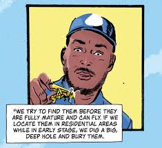 Amina M. Abillahi (@amina_ilwaad)