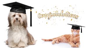 New ABC Graduates — Autumn 2021