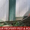 Some pests are unsightly, some can damage your home and some can even harm you and. Best 30 Pest Control Services In Lake Placid Fl With Reviews Yp Com
