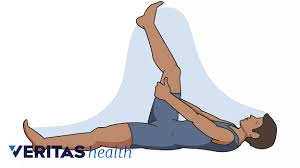 The spinal erectors are thought of as the lower back muscles. Lumbar Spine Stabilization Exercises