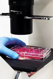 Image result for Neutralization Test