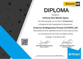 luz maria chauca cuellar