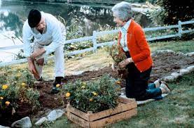Check spelling or type a new query. Der Garten Filmkritik Film Tv Spielfilm