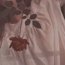Pin By Luna Attar On Lunaire Brown Aesthetic Peach Aesthetic Red Aesthetic