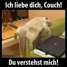 Ich Liebe Dich Couch Schlafende Katze Seltsame Katzen Susseste Haustiere