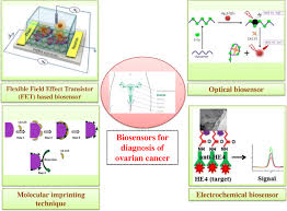 You may find it helpful to read nci's booklet chemotherapy and you: Recent Advancements In Fabrication Of Nanomaterial Based Biosensors For Diagnosis Of Ovarian Cancer A Comprehensive Review Springerlink