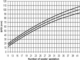 Accuracy Of Bpd For Dating The Pregnancy