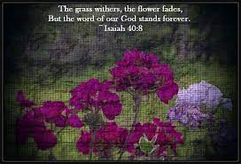 You can use this coloring chart to follow along with the come, follow me lessons for 2020. Scripture Verse Flowers And God S Word The End Time